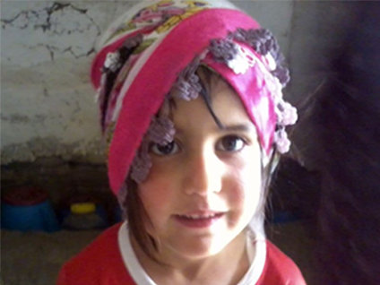 Van minik nehir için seferber oldu