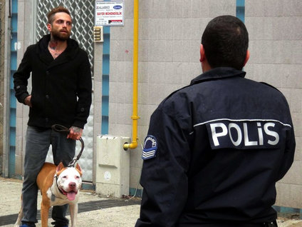 Çanakkale'de pitbull dehşeti korkuttu!