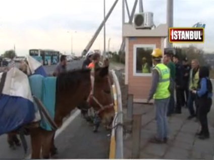 Polisin 'Katır' inadı!