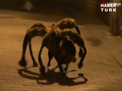 Dünyayı sallayan videolar!