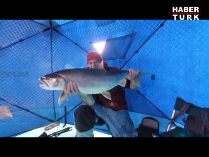 Buz üstünde çadır kurup balık avlamak