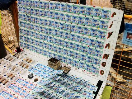 Milli Piyango biletleri satışta!