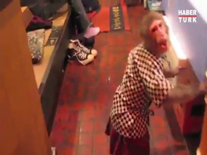 Japonya'nın 'maymun garsonları'