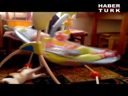 Beşik sallayan kedi