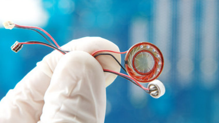 Böcek davası başlıyor