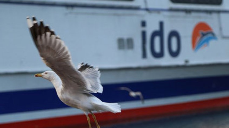 İDO seferleri iptal edildi