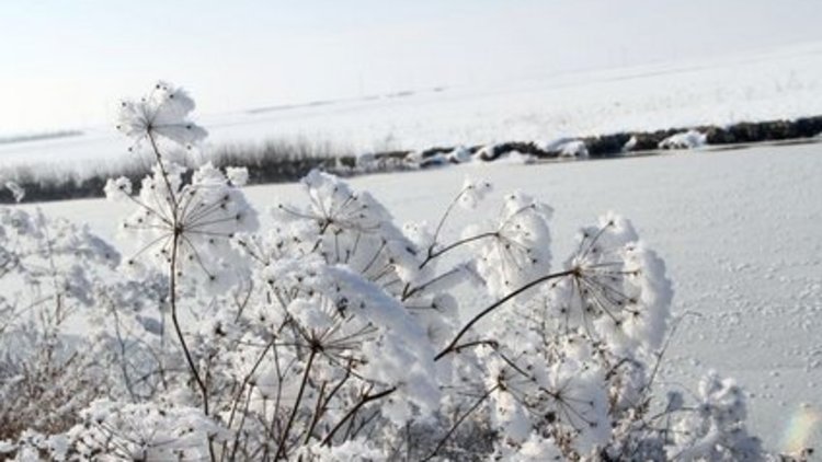 Yeni haftada kar geliyor