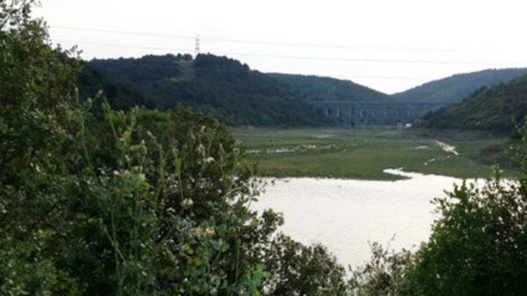 Yağış barajları canlandırdı