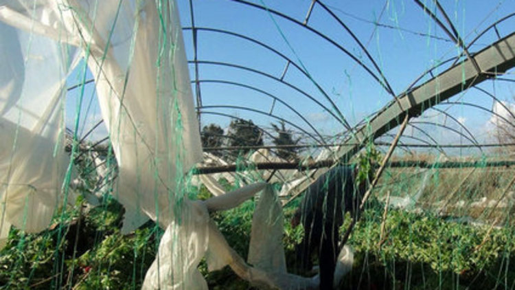 Hortum seraları vurdu!