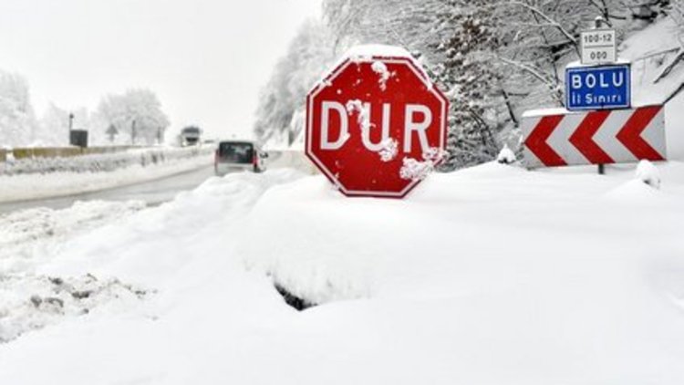 Bolu'da kar yağışı başladı