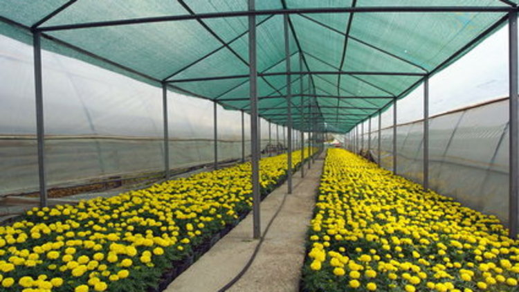 1 yıllık emek boşa gitti