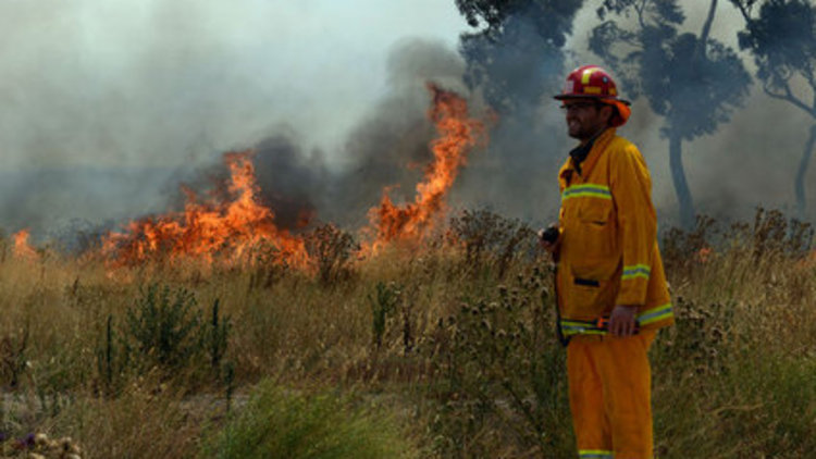 Alevler karşısında çaresizlik!