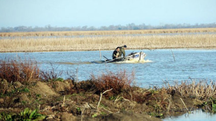 Ölüme işte böyle gittiler