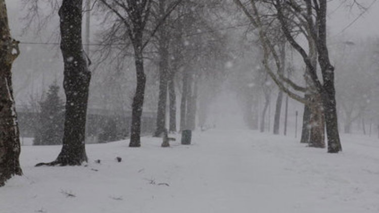 ABD'de kar fırtınası