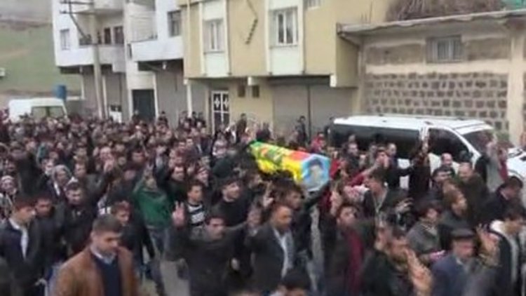 Cizre'de polise tutuklama