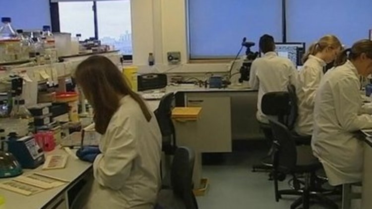 Üç kişiden tek çocuk