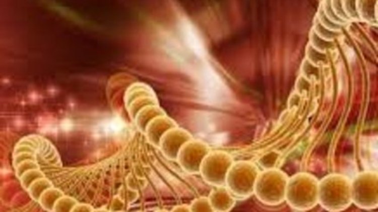 Obeziteden 40 bin kanser