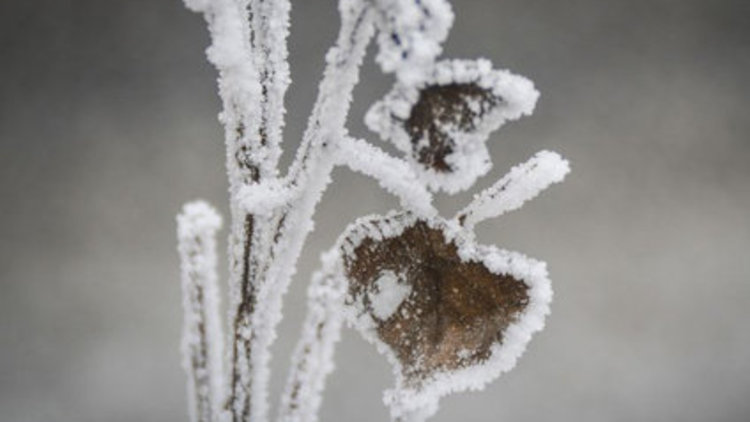 Sibirya soğukları geliyor