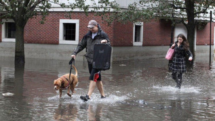 ABD sele teslim oldu