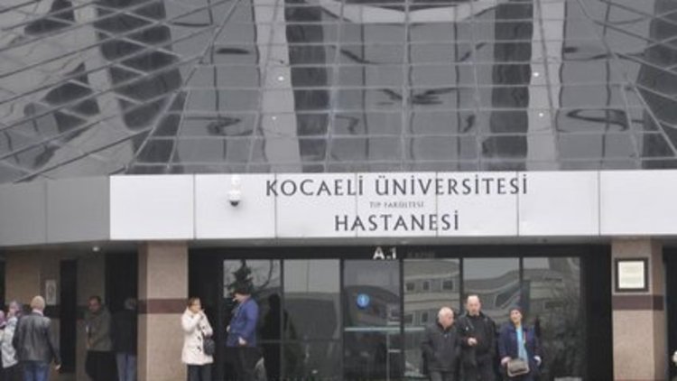 Kocaeli'de domuz gribi vakası