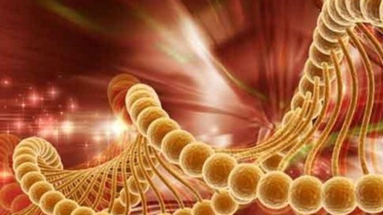 Karaciğer kanserine dikkat 