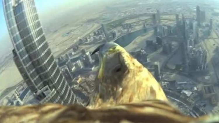 Kuş bakışı Dubai