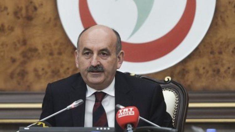 Domuz gribinden 30 ölüm