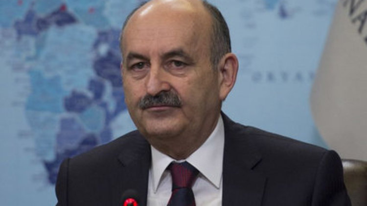 Domuz gribinin ilaçla tedavisi yok!