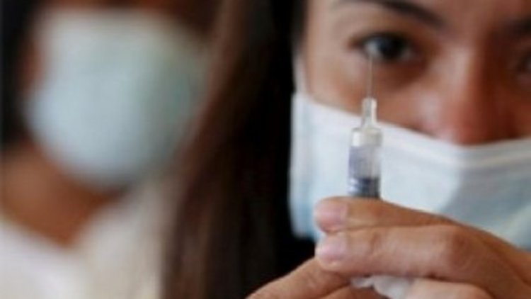 Domuz gribi 43 can aldı