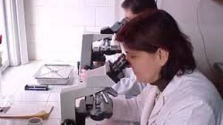 Uzmanlardan "Verem" uyarısı geldi