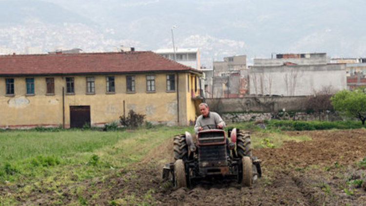 Kanser tarlada mı yetişiyor?