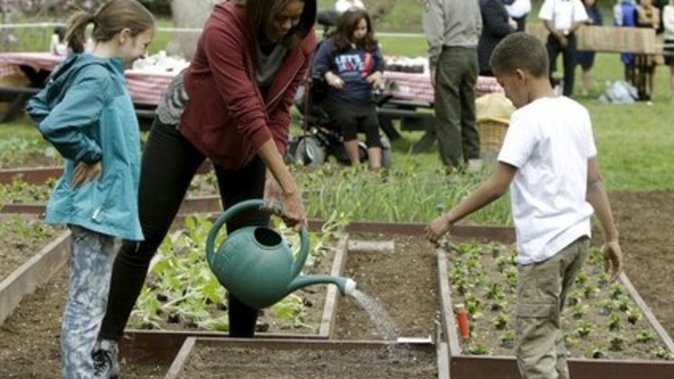 First Lady sebze ekti