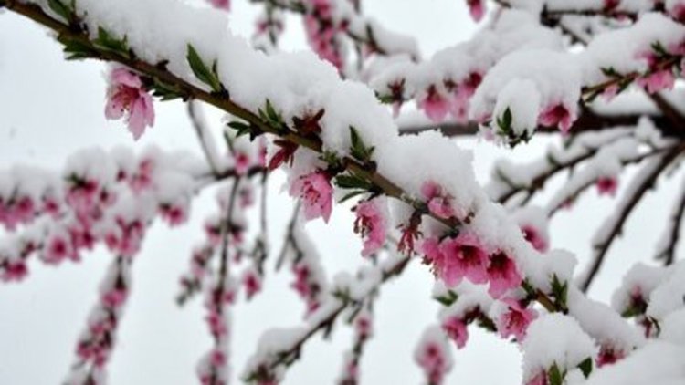 Nisan'da kar yağdı