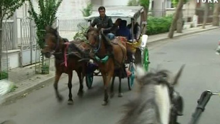 Yavrusunun yanında can verdi