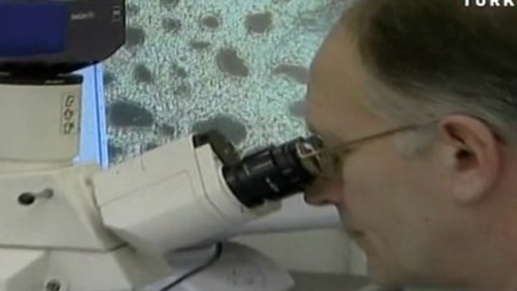 Çığır açacak kanser tedavisi