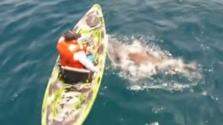 Ava giderken avlandı