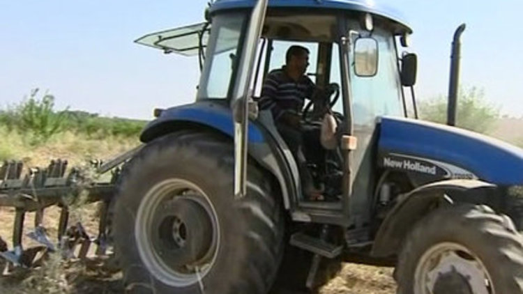 Sınırda çitfçi olmak 