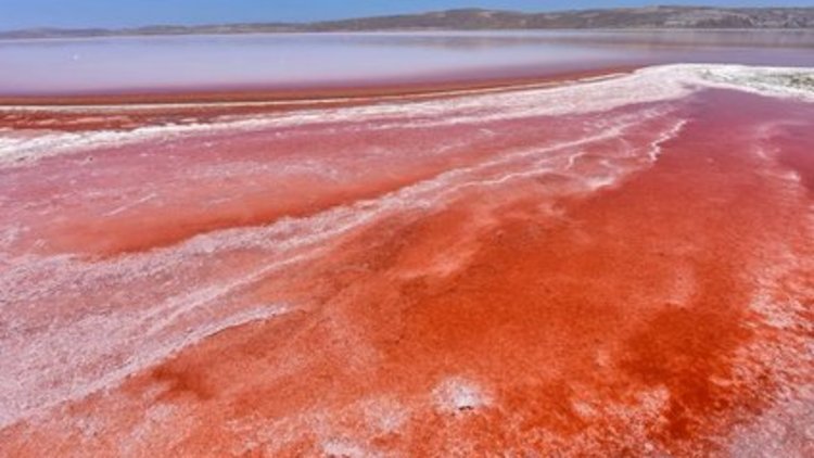 Tuz gölü kızıla büründü