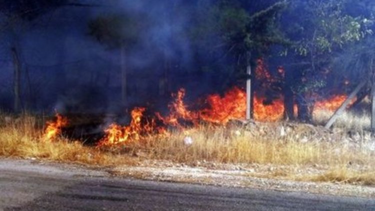 Kaliforniya'da orman yangını kontrol altına alınamıyor