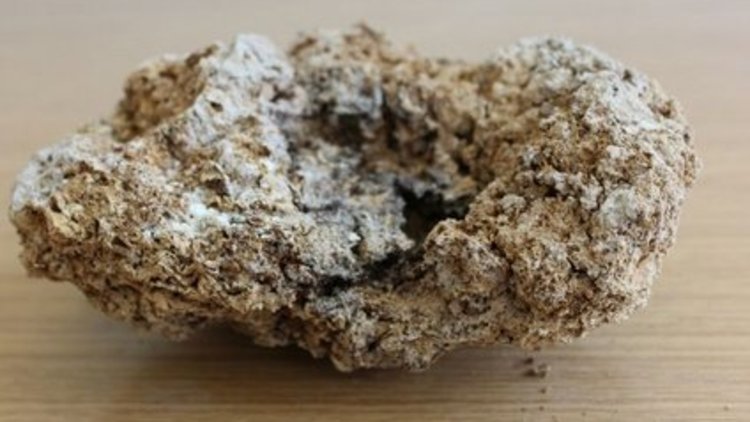 Mimari kalıntı sanıldı, 250 yıllık peynir olduğu ortaya çıktı