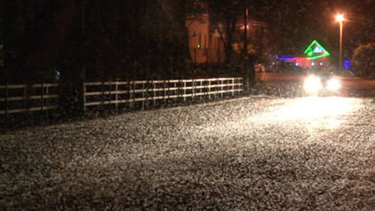 Kelebeklerin ölüm dansı görsel şölen oluşturdu 