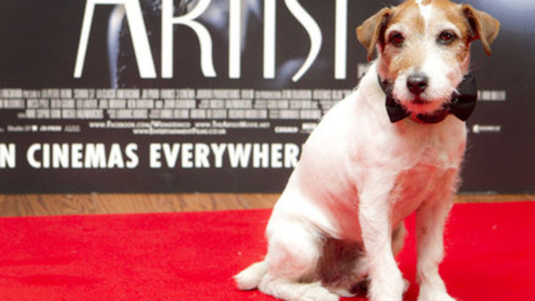 Aktör köpek Uggie öldü