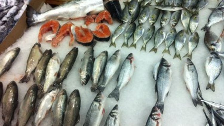 Balık fiyatları cep yakıyor 