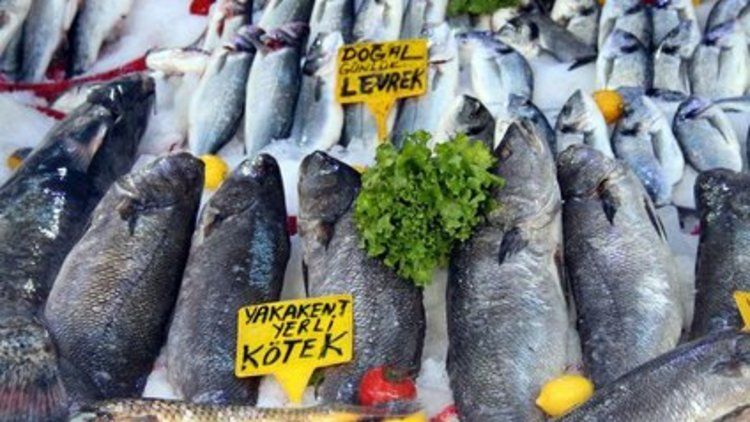 Av yasağı kalkıyor, balık sezonu açılıyor