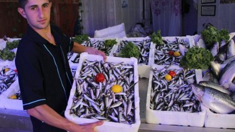 Balık tezgahları canlandı