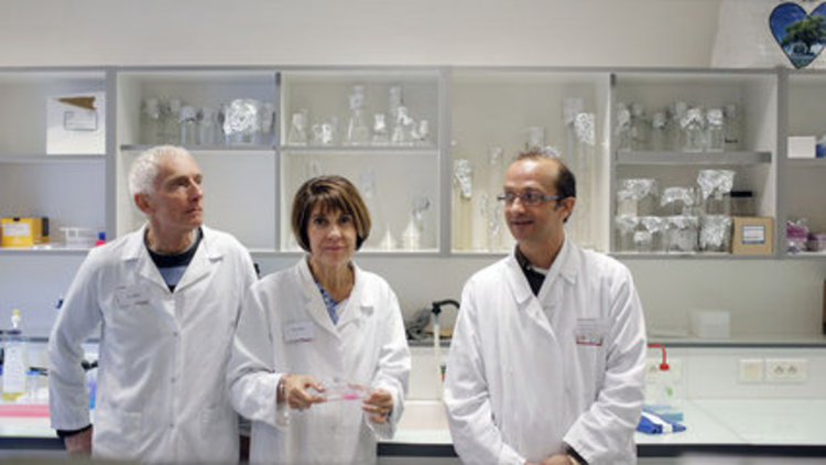 Kısırlık tedavisinde devrim, tüpte sperm üretildi