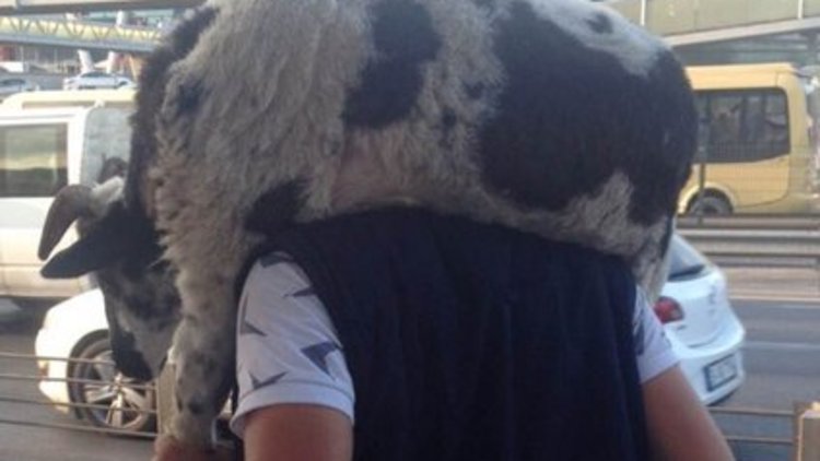 Kurbanlığı metrobüsle taşıdı