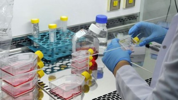 İlaca yüzde 5 bin zam