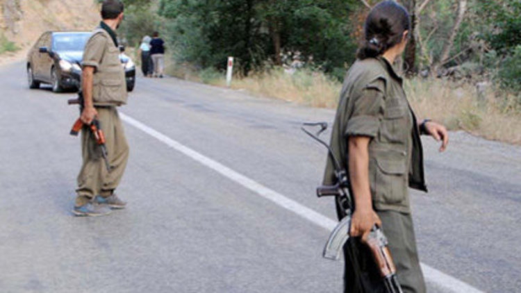 Bingöl Valiliği: 2 terörist öldürüldü