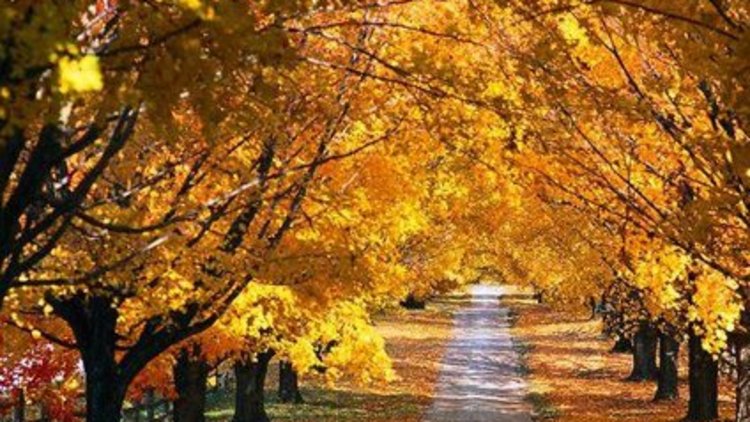 Marmara artık daha serin olacak